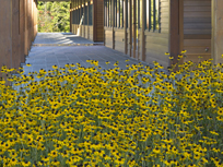 ICS Front Porch